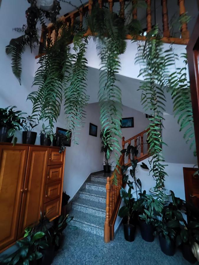 Bernal I, II Y III Apartman Los Sauces Kültér fotó